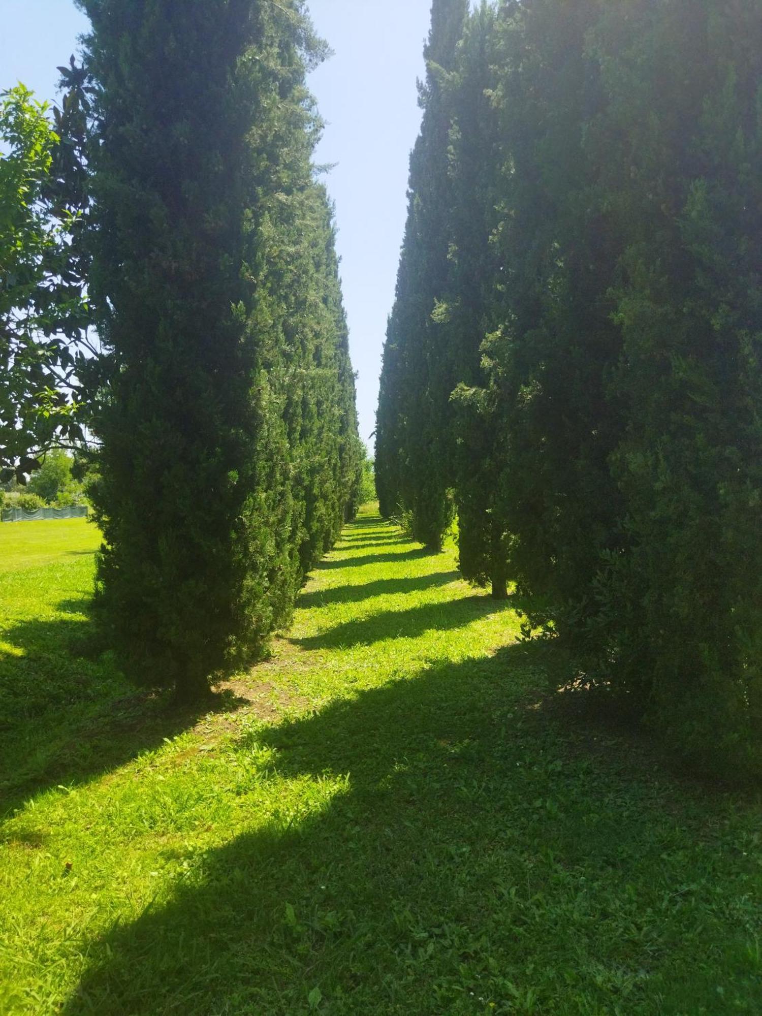 Villa Fontana Capannori Exteriör bild