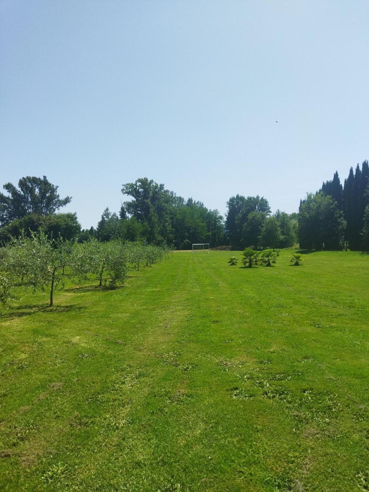 Villa Fontana Capannori Exteriör bild
